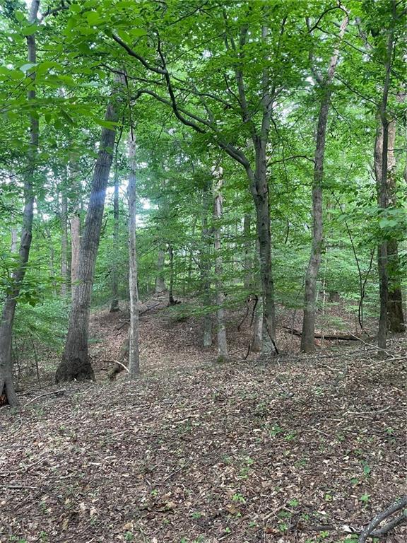 2165 Highway 770 Sandy Ridge, NC 27046 - Photo 16 of 28 Gallery Image 16