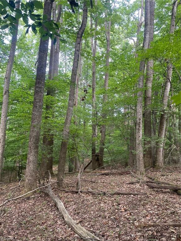 2165 Highway 770 Sandy Ridge, NC 27046 - Photo 17 of 28 Gallery Image 17