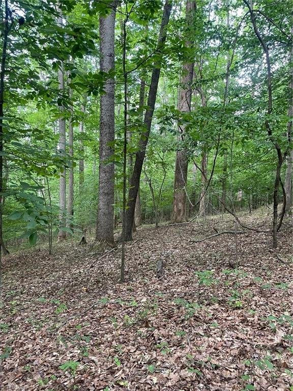 2165 Highway 770 Sandy Ridge, NC 27046 - Photo 18 of 28 Gallery Image 18