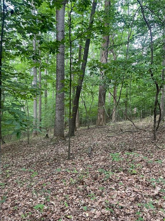 2165 Highway 770 Sandy Ridge, NC 27046 - Photo 2 of 28 Gallery Image 2