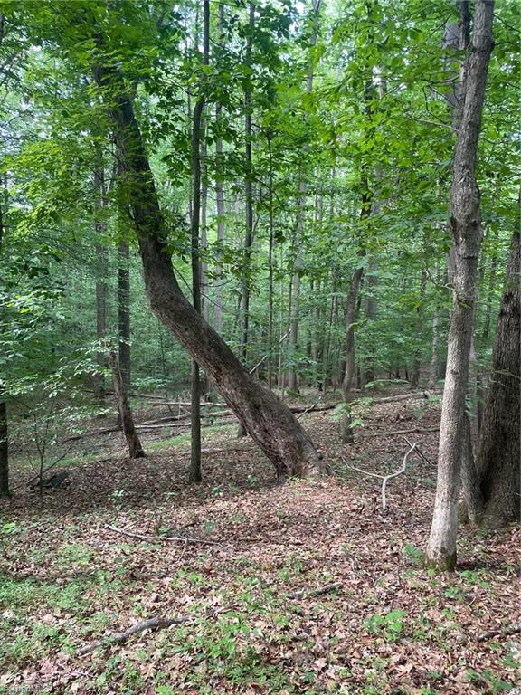 2165 Highway 770 Sandy Ridge, NC 27046 - Photo 21 of 28 Gallery Image 21