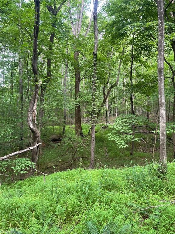 2165 Highway 770 Sandy Ridge, NC 27046 - Photo 23 of 28 Gallery Image 23