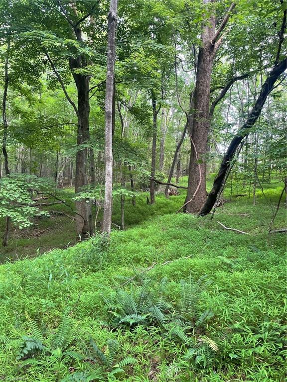 2165 Highway 770 Sandy Ridge, NC 27046 - Photo 3 of 28 Gallery Image 3