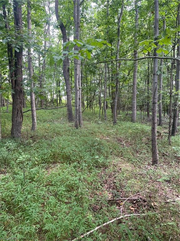 2165 Highway 770 Sandy Ridge, NC 27046 - Photo 5 of 28 Gallery Image 5