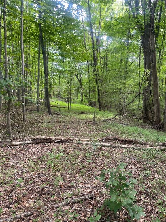 2165 Highway 770 Sandy Ridge, NC 27046 - Photo 7 of 28 Gallery Image 7