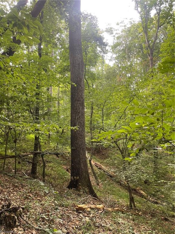 2165 Highway 770 Sandy Ridge, NC 27046 - Photo 8 of 28 Gallery Image 8