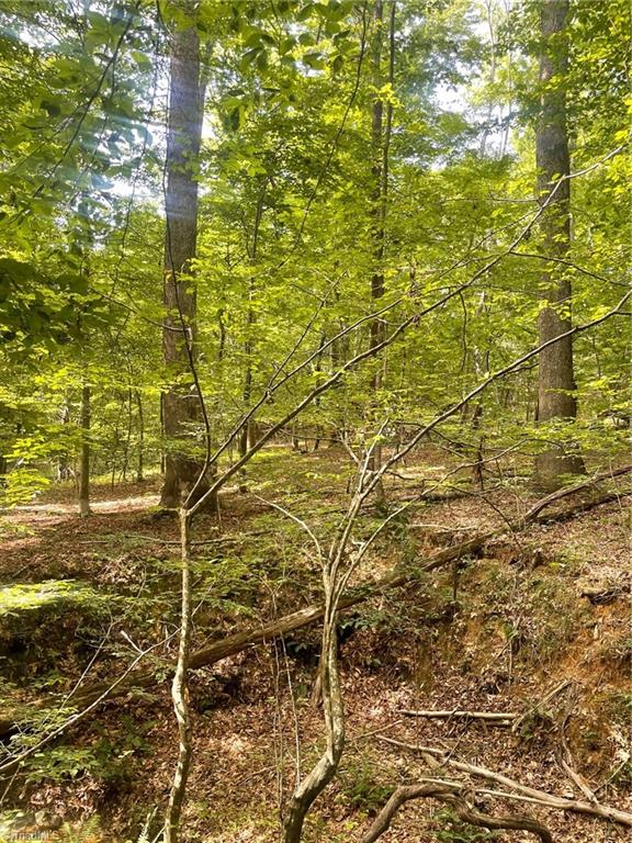 2165 Highway 770 Sandy Ridge, NC 27046 - Photo 9 of 28 Gallery Image 9
