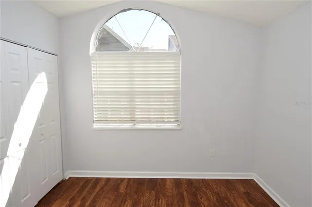 a view of a swimming pool with lawn chairs and plants