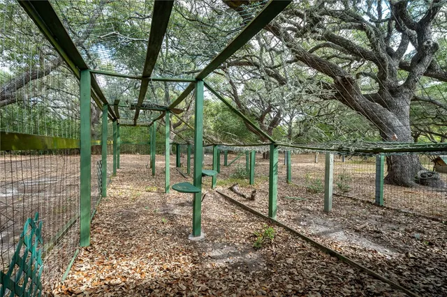 a view of a yard with a trees and wooden fence