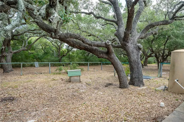 a view of outdoor space