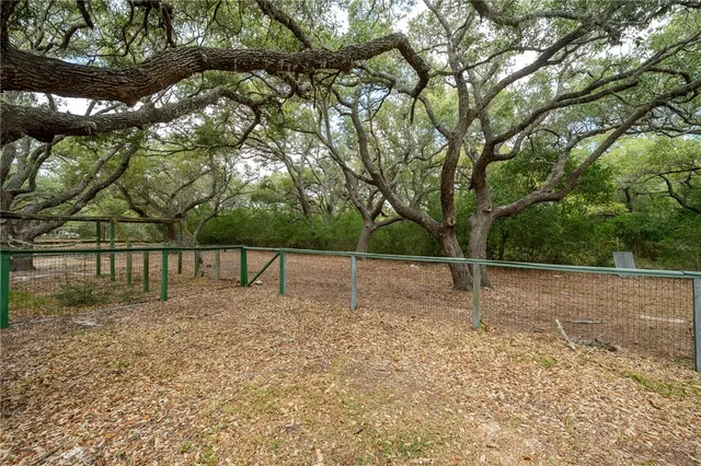a view of a house with a large tree