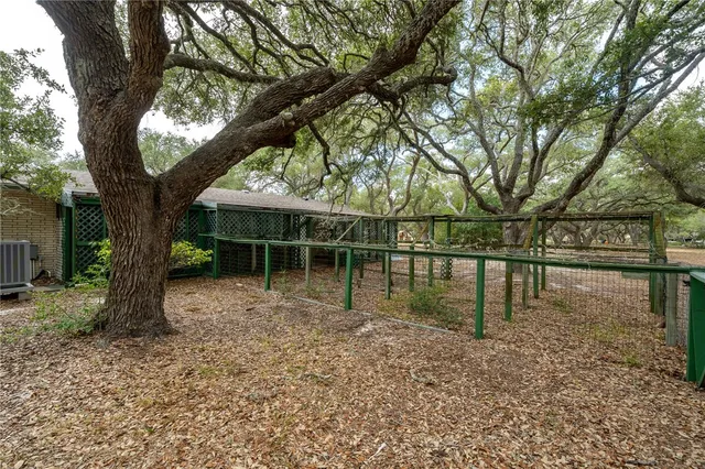 a view of empty area with tree s