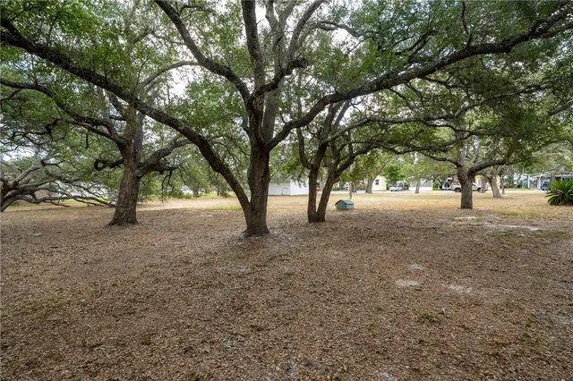 a backyard of a house with lots of green space