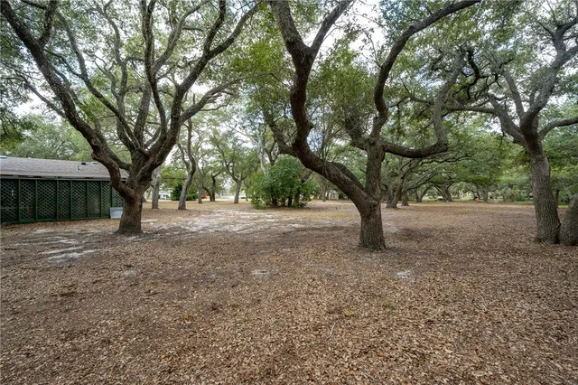 a view of outdoor space and yard