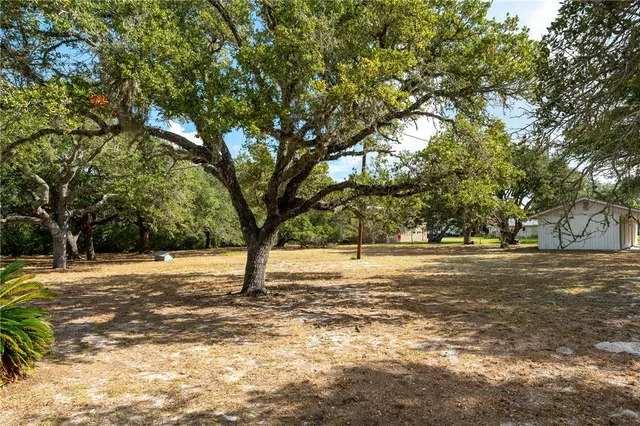 a view of outdoor space with trees