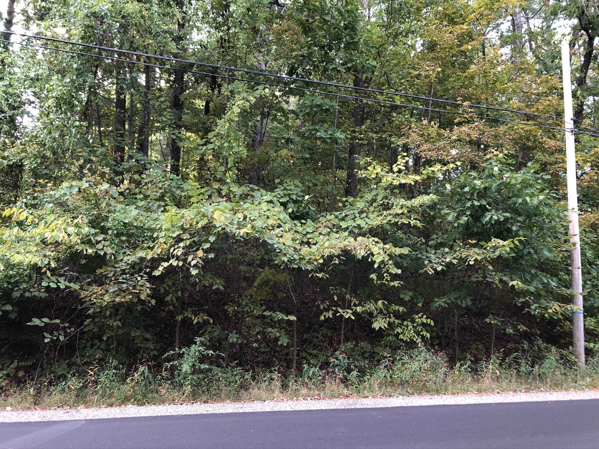 351 Derry Road Chester, NH 03036 - Photo 5 of 5