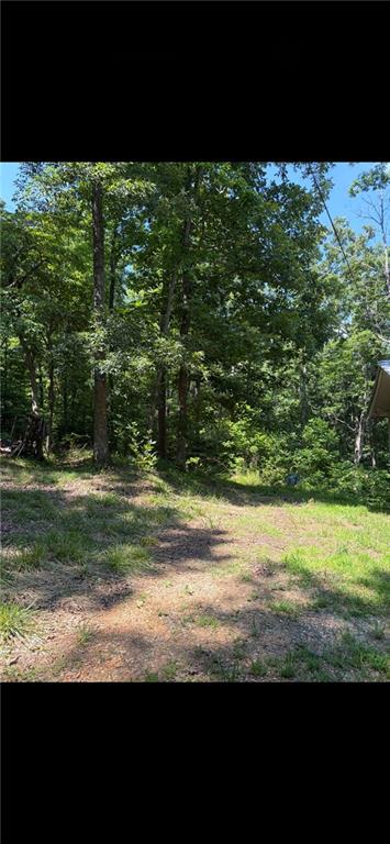 388 River Shoals Road Dawsonville, GA 30534 - Photo 10 of 15