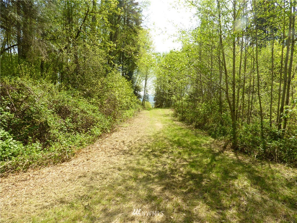 0 Cedar Hills Road Longview, WA 98632 - Photo 4 of 9