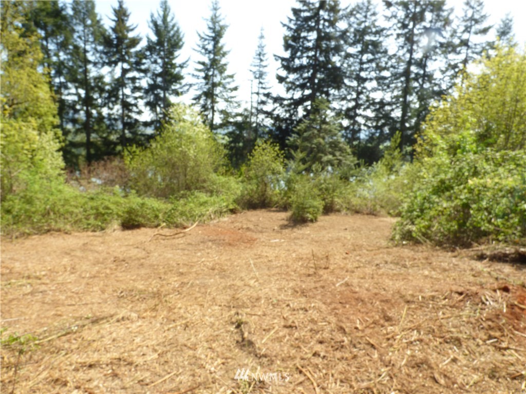 0 Cedar Hills Road Longview, WA 98632 - Photo 5 of 9