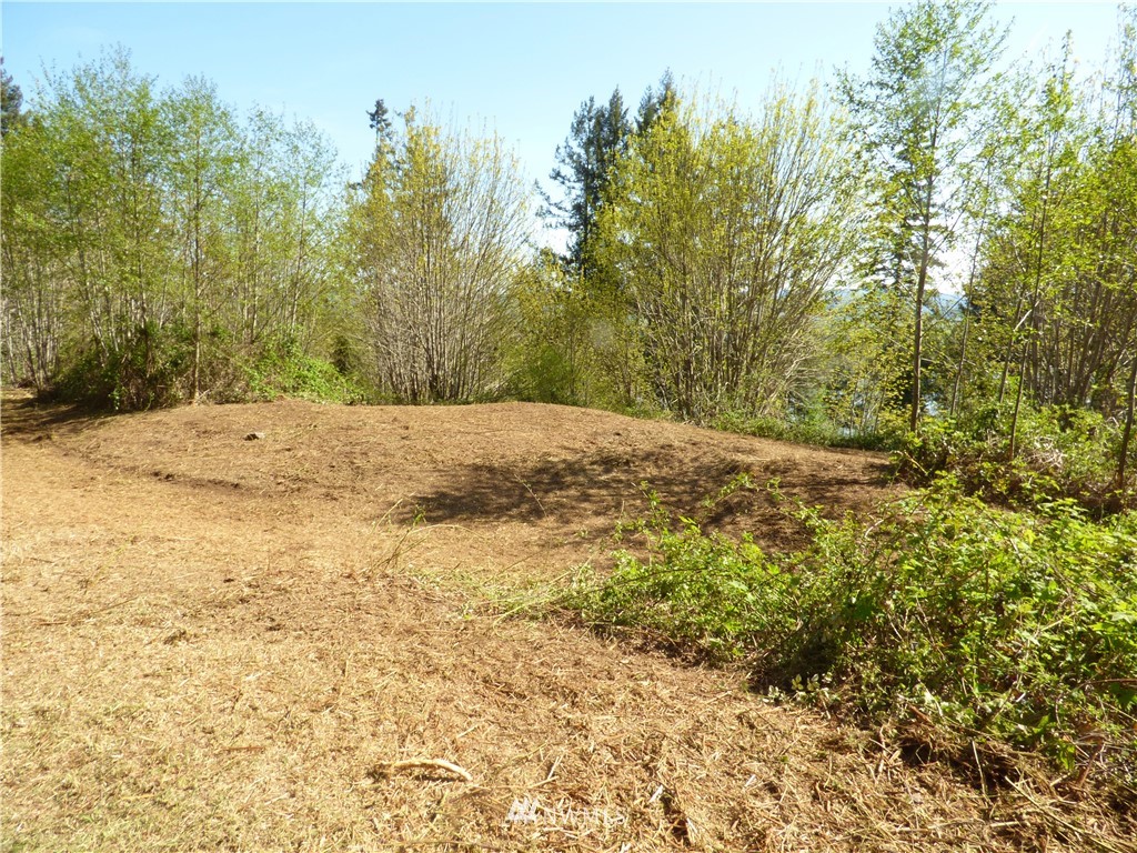 0 Cedar Hills Road Longview, WA 98632 - Photo 8 of 9
