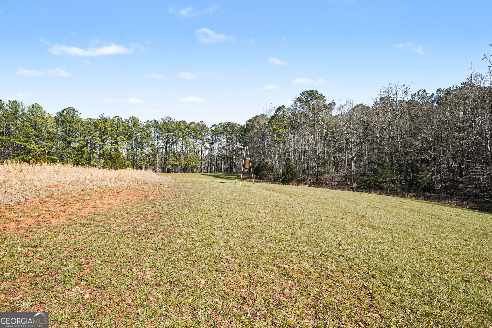 0 Vineyard Road Thomaston, GA 30286 - Photo 14 of 40