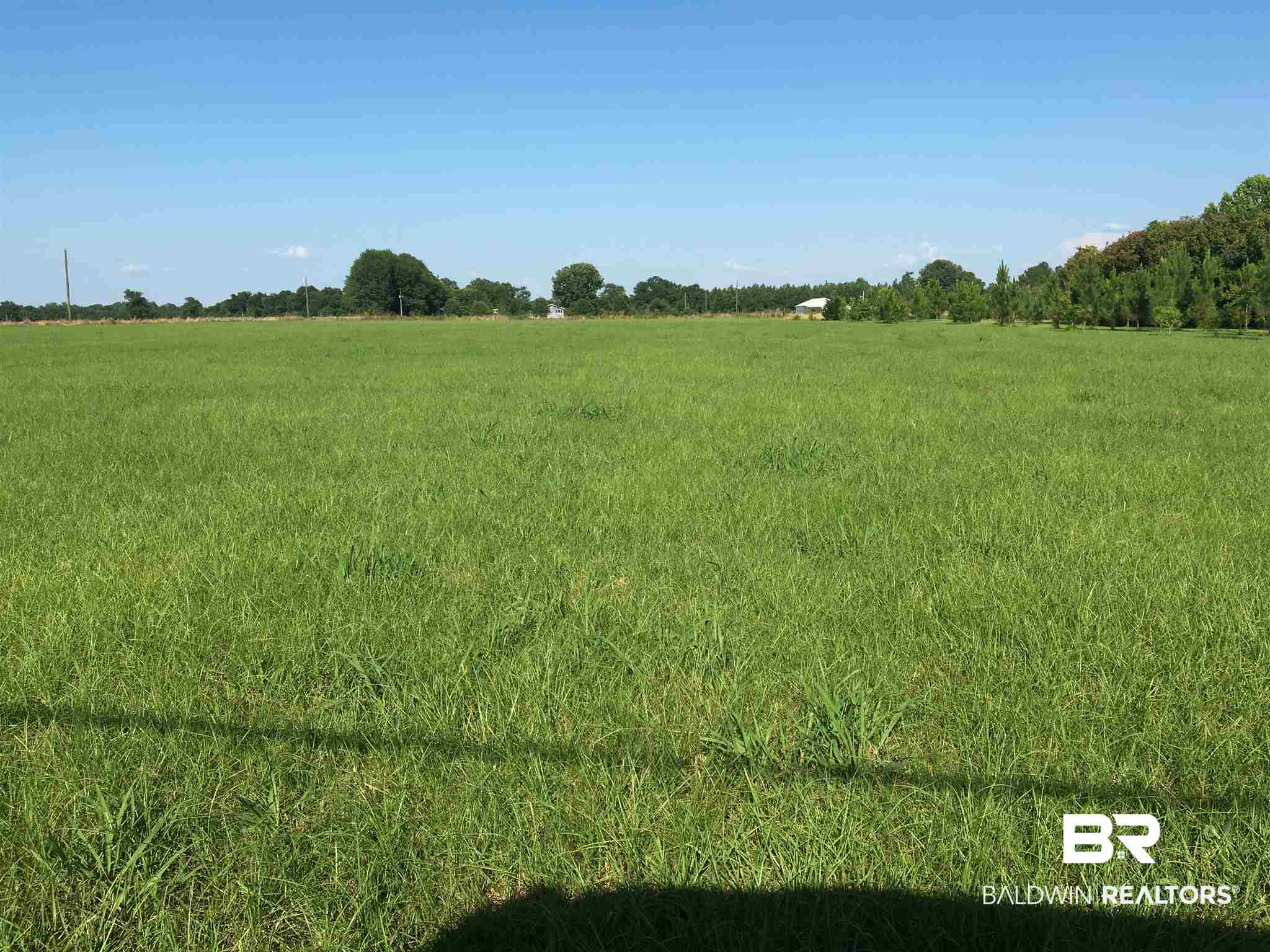 321 W Street Monroeville, AL 36460 - Photo 5 of 6