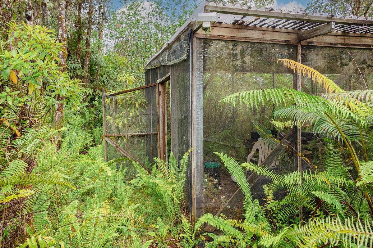 16-1404 Hopue Road Mountain View, HI 96771 - Photo 21 of 28 a backyard of a building