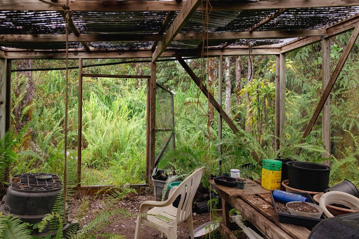 16-1404 Hopue Road Mountain View, HI 96771 - Photo 22 of 28 a living room with a couch and a table