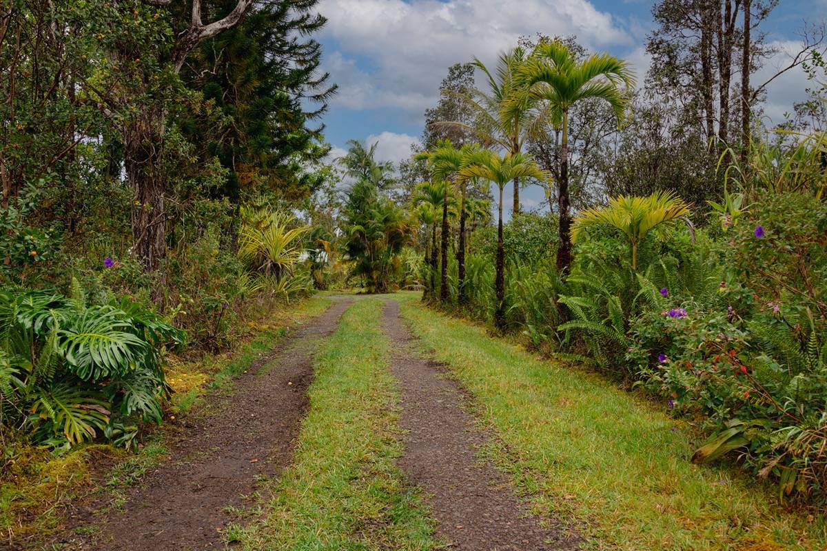 16-1404 Hopue Road Mountain View, HI 96771 - Photo 5 of 28 a view of a garden with plants