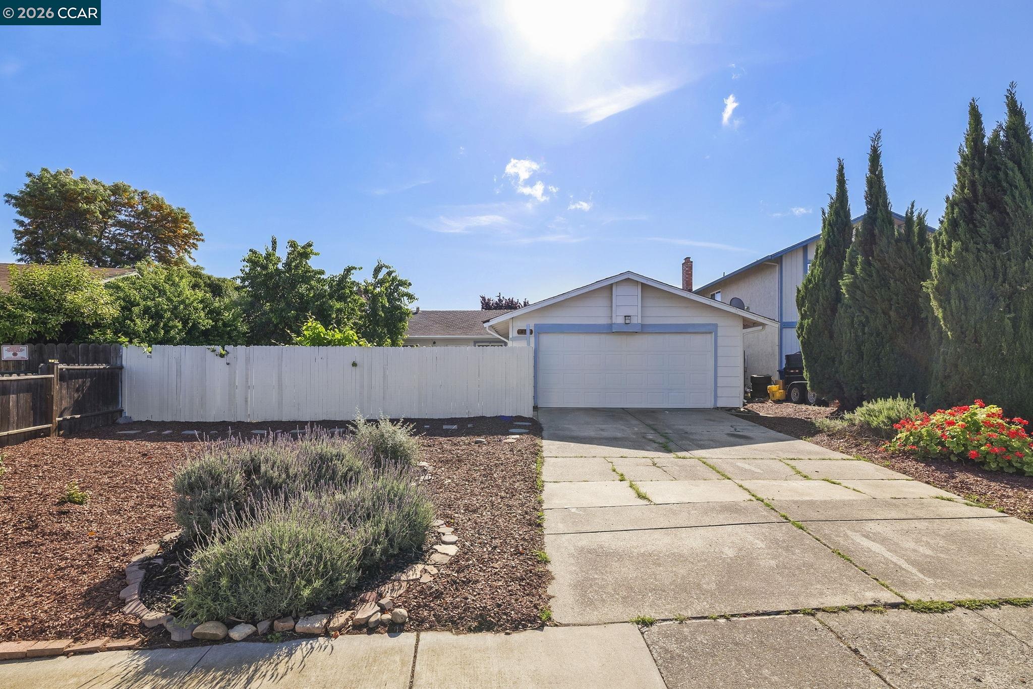 476 Pamela Drive Bay Point, CA 94565 - Photo 19 of 24 a view of backyard