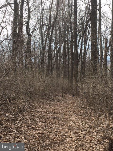 384 1/2 Ss Rexmont Road Lebanon, PA 17042 - Photo 2 of 3 Gallery Image 2