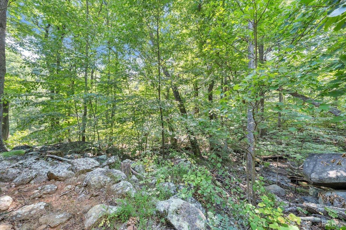 7876 Peaks Road Bedford, VA 24523 - Photo 25 of 36 Gallery Image 25