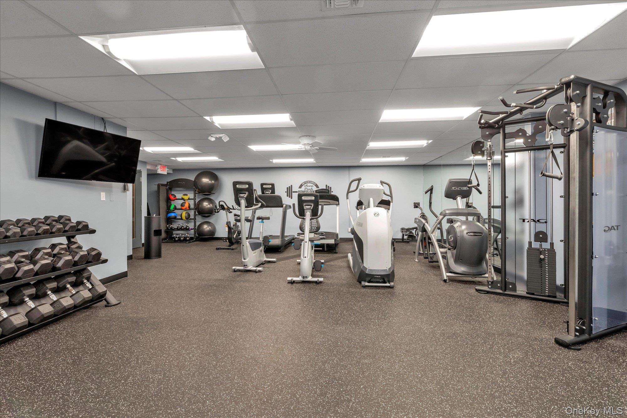 41 Spring Hollow Road Roslyn, NY 11576 - Photo 21 of 27 a view of a room with gym equipment