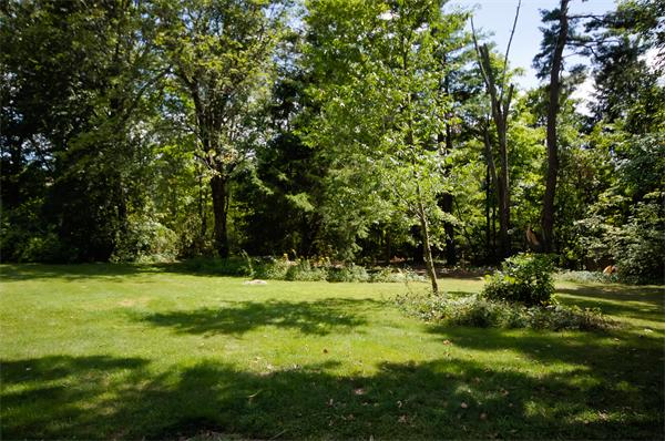 137 North Road Bedford, MA 01730 - Photo 22 of 23 a big yard with lots of green space and deers
