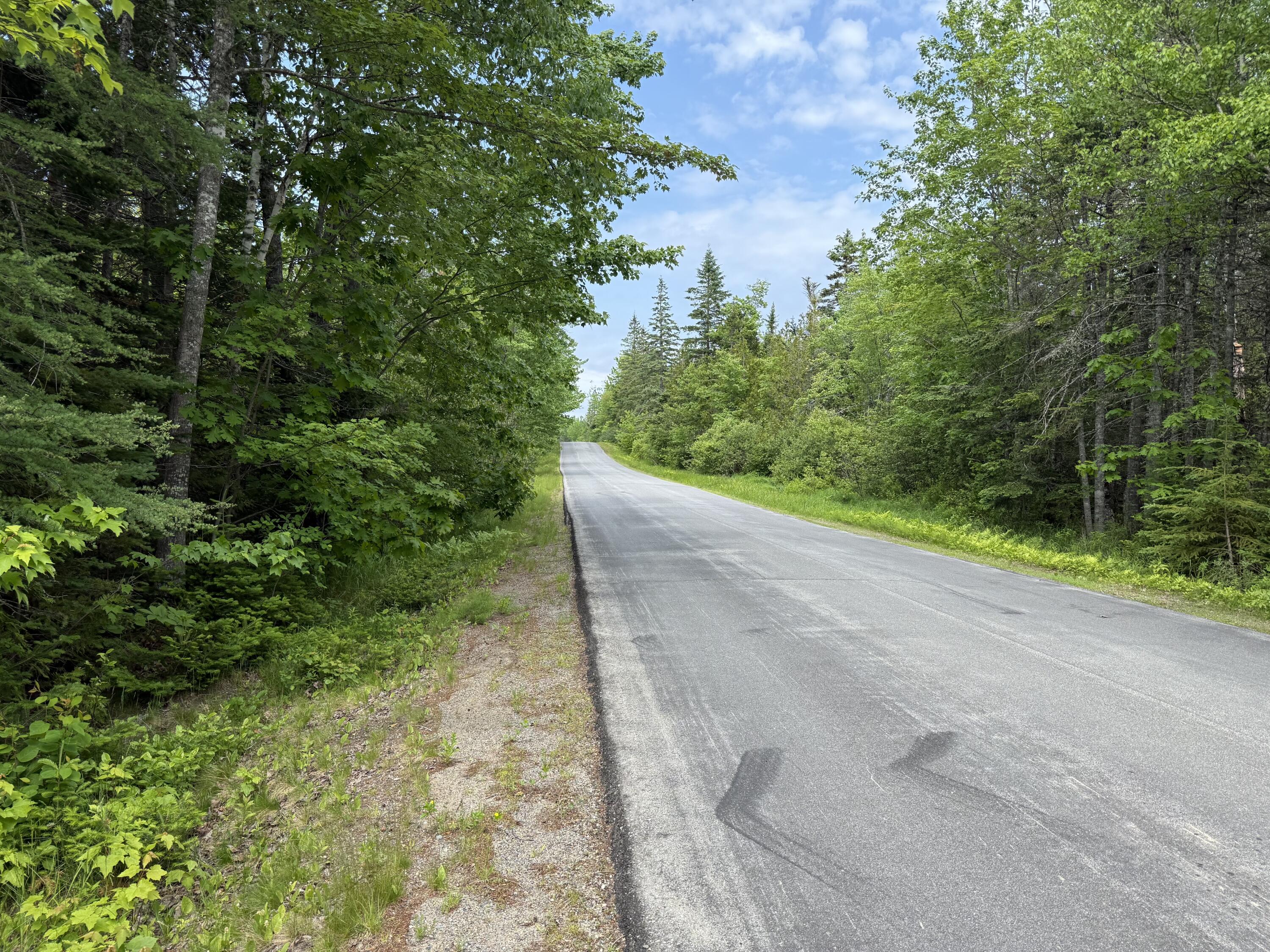 M3-l6-1 Clarkside Road Pembroke, ME 04666 - Photo 2 of 16 IMG_2794