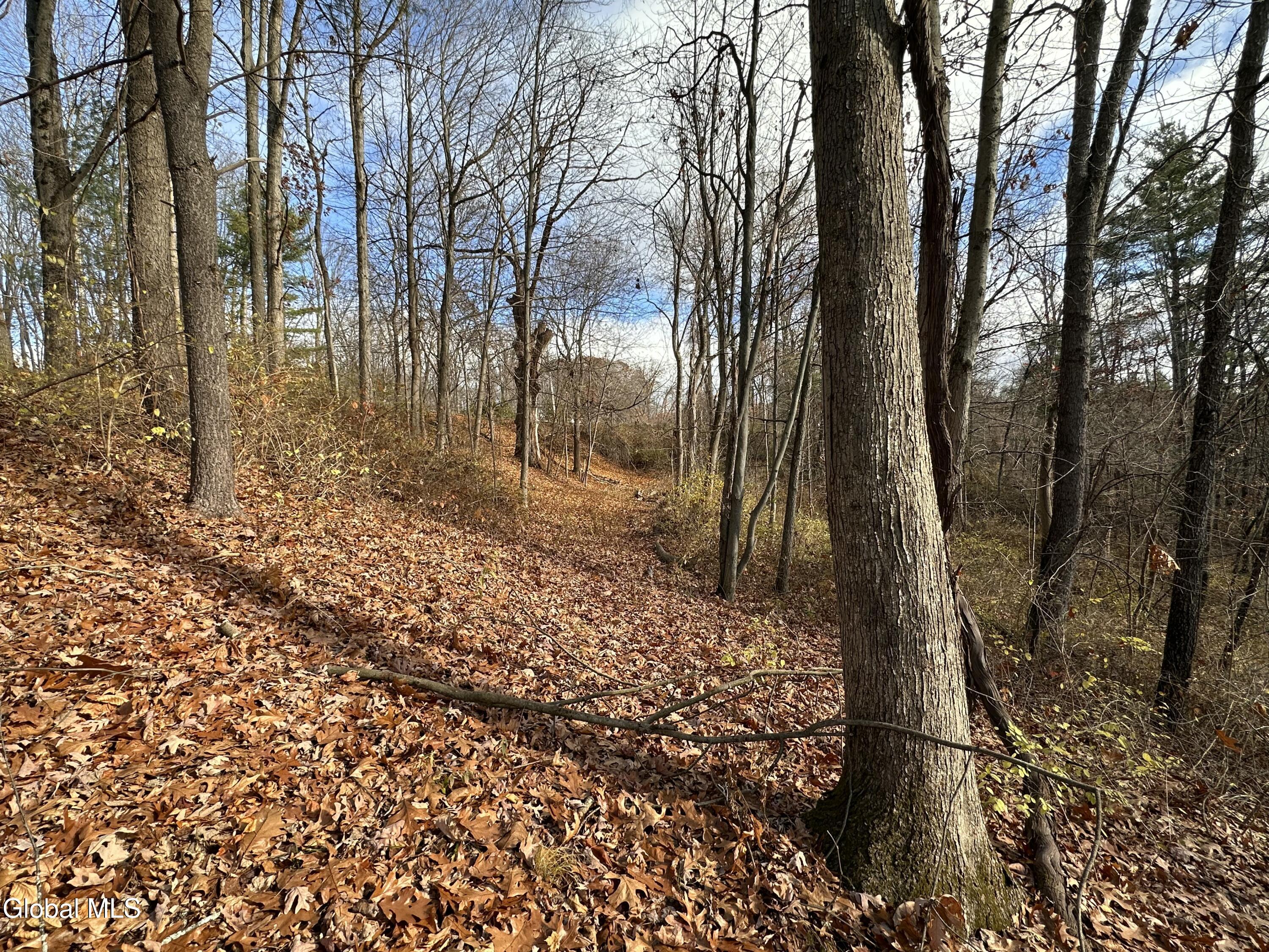 9 Clarks Mills Road Greenwich, NY 12834 - Photo 12 of 12 IMG_7235