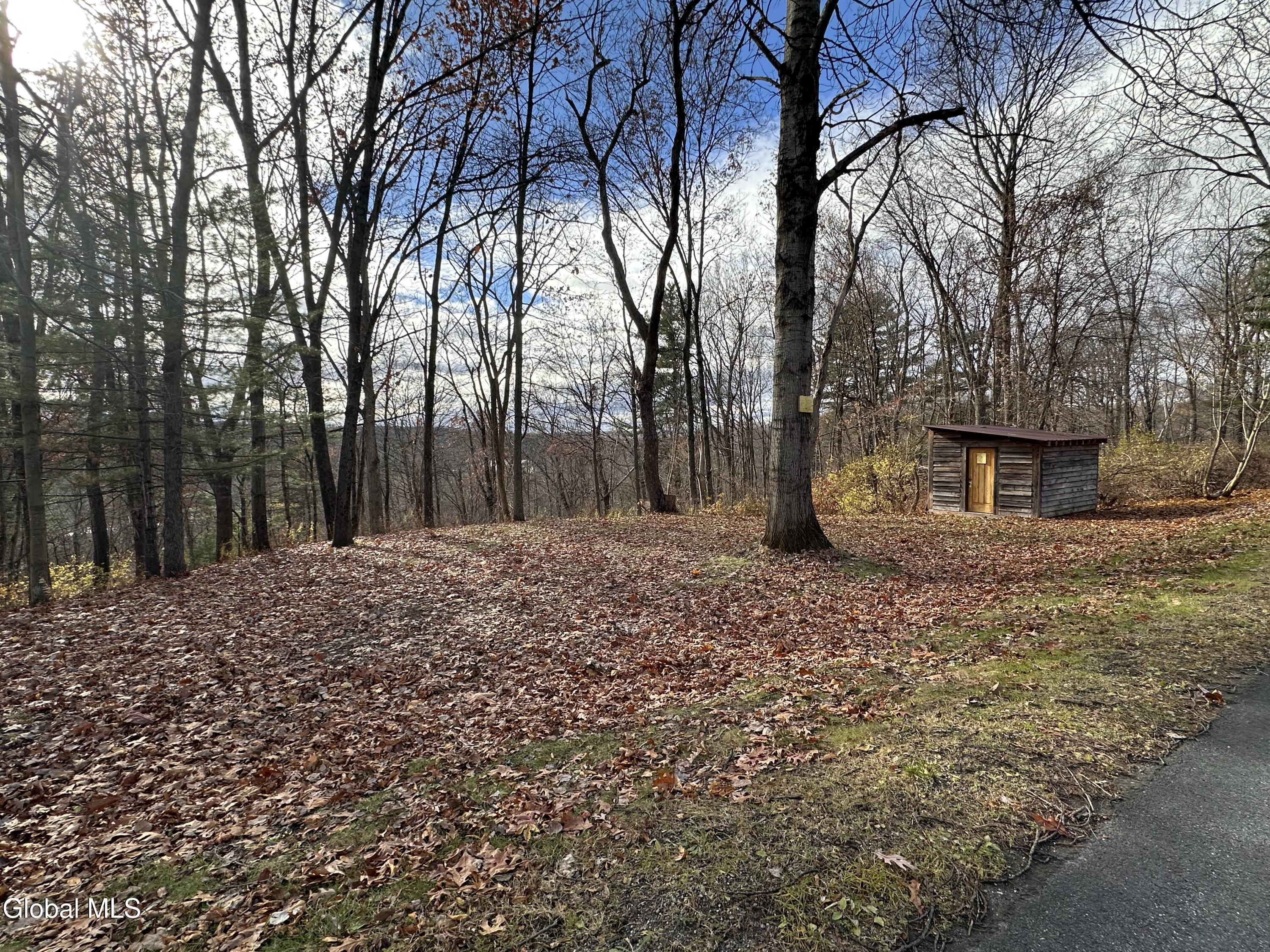 9 Clarks Mills Road Greenwich, NY 12834 - Photo 2 of 12 Land