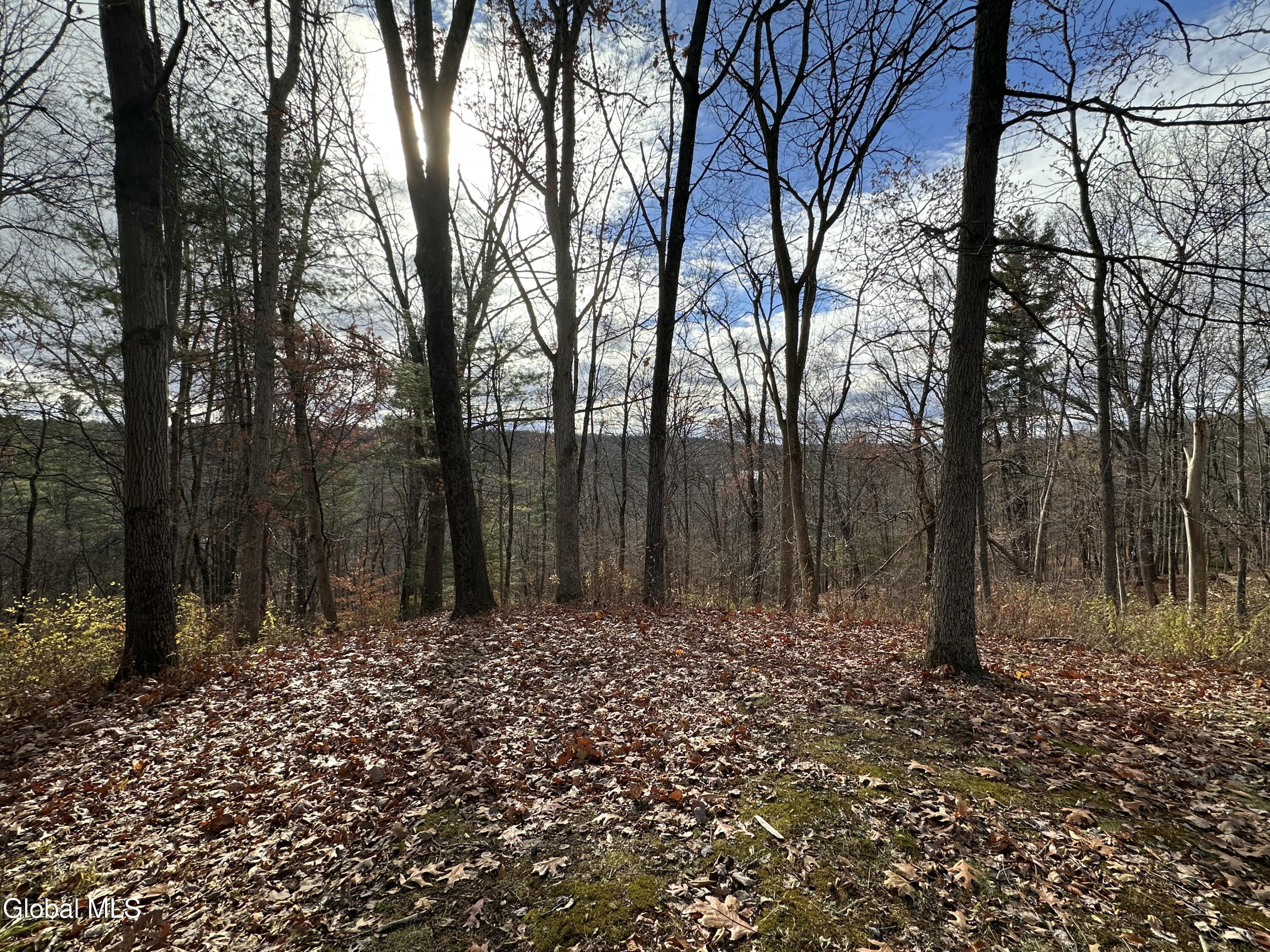 9 Clarks Mills Road Greenwich, NY 12834 - Photo 5 of 12 IMG_7253