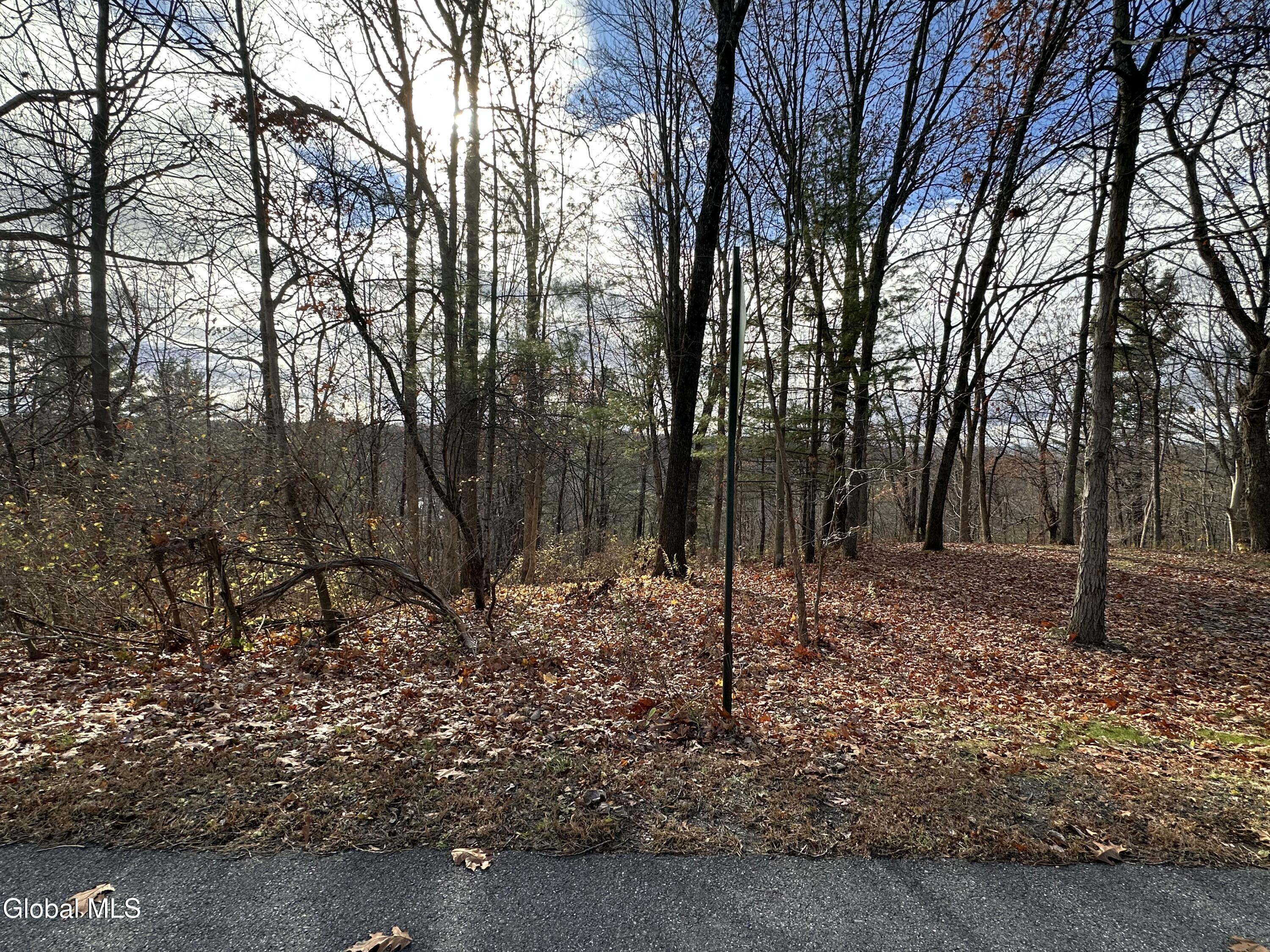 9 Clarks Mills Road Greenwich, NY 12834 - Photo 6 of 12 IMG_7234