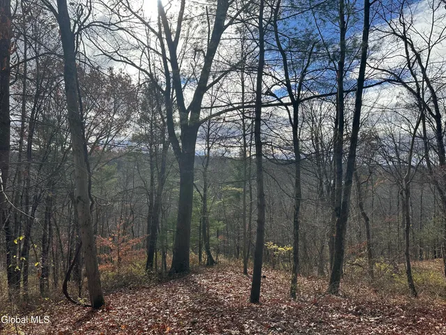 $28,000 | 9 Clarks Mills Road, Greenwich, NY 12834