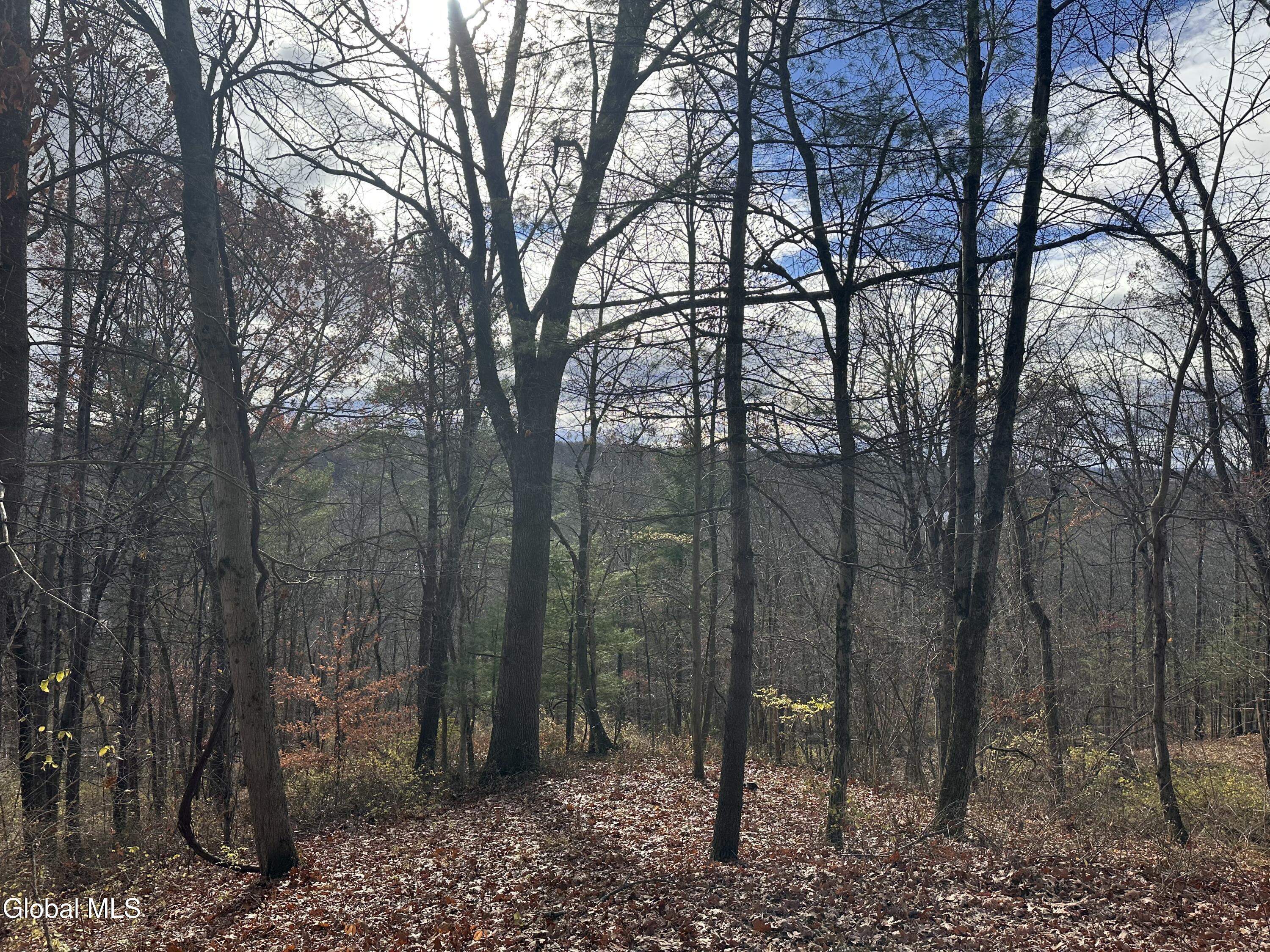 9 Clarks Mills Road Greenwich, NY 12834 - Photo 8 of 12 IMG_7248