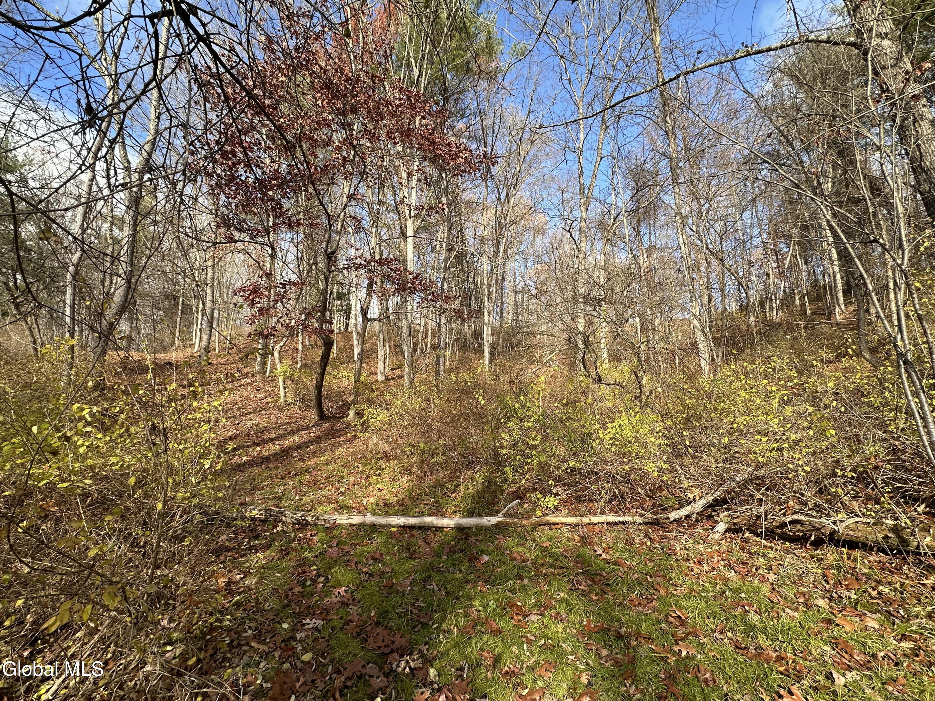 9 Clarks Mills Road Greenwich, NY 12834 - Photo 10 of 12 IMG_7238