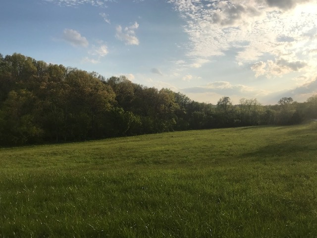 0 Drift Run Road Mount Olivet, KY 41064 - Photo 30 of 30 Gallery Image 30