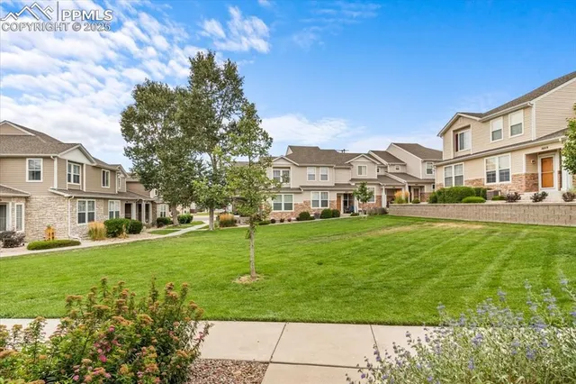 a view of a big yard with a house in the background