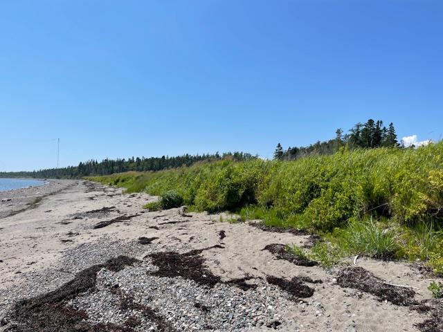 Lots 6-1&2 Lots 6-1&2 Ridge Road Cutler, ME 04626 - Photo 15 of 22 IMG_5654