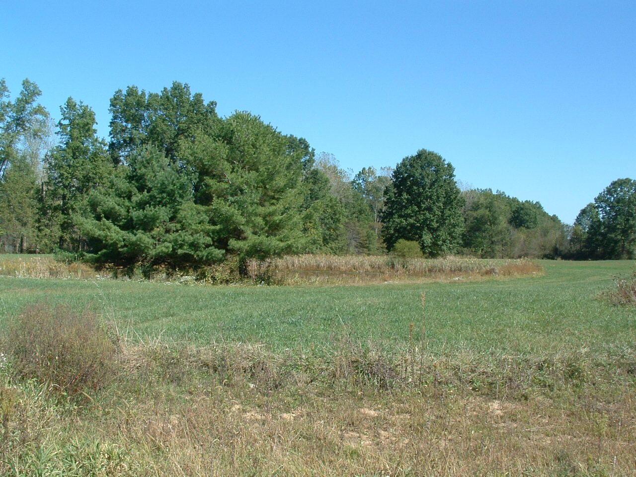 0 Nichols Lane Road Northwest Johnstown, OH 43031 - Photo 5 of 22 DSCF0001