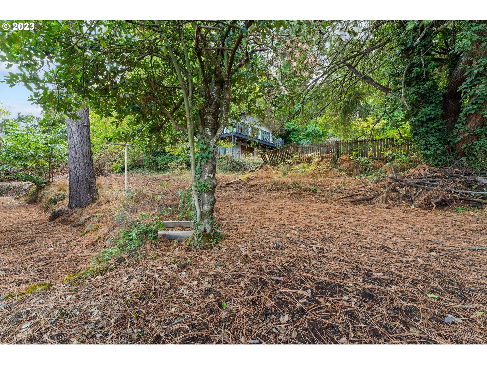 3148 Willamette Street Eugene, OR 97405 - Photo 26 of 31 a backyard of a house with lots of green space