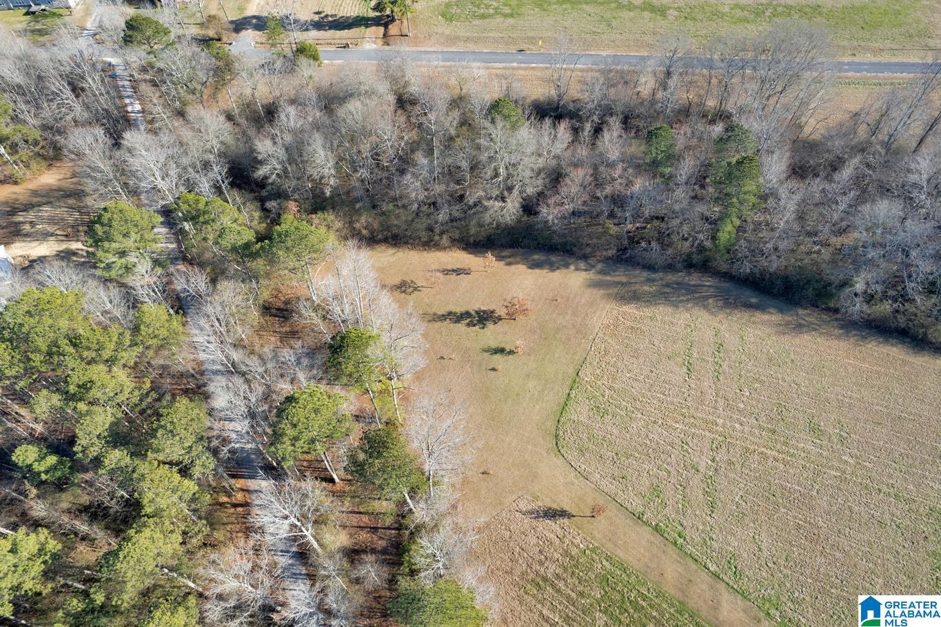 145 Fall Branch Road Remlap, AL 35133 - Photo 48 of 48