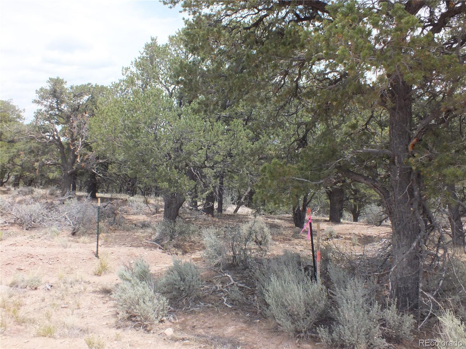0 Platten Road Fort Garland, CO 81133 - Photo 13 of 14 Gallery Image 13