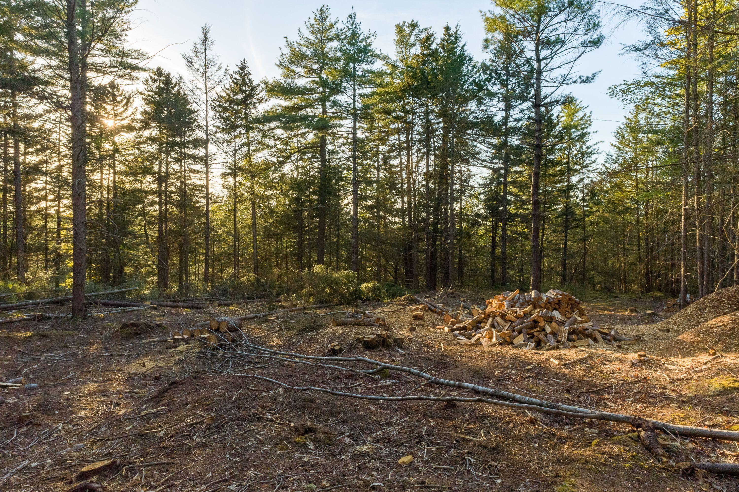 Lot 19 Mountain Road West Bath, ME 04530 - Photo 11 of 18 Build Window